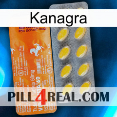 Kanagra new05